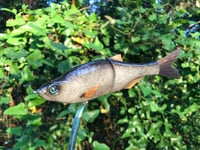 Image 10 of SPEEDBAITS Custom Airbrushed Glide Bait 2422