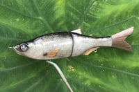 Image 11 of SPEEDBAITS Custom Airbrushed Glide Bait 2422