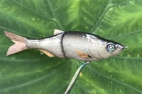 Image 12 of SPEEDBAITS Custom Airbrushed Glide Bait 2422