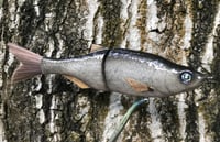 Image 13 of SPEEDBAITS Custom Airbrushed Glide Bait 2422