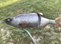 Image 16 of SPEEDBAITS Custom Airbrushed Glide Bait 2422