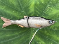 Image 18 of SPEEDBAITS Custom Airbrushed Glide Bait 2422