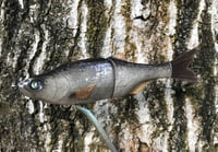 Image 19 of SPEEDBAITS Custom Airbrushed Glide Bait 2422