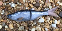 Image 3 of SPEEDBAITS Custom Airbrushed Glide Bait 2422