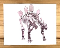 Image 2 of Stegosaurus