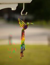 Image 5 of Jalisco Hummingbird 