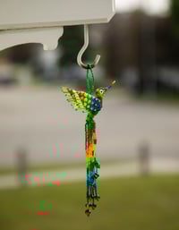 Image 1 of Jalisco Hummingbird 