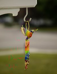 Image 6 of Jalisco Hummingbird 