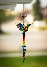 Image 7 of Jalisco Hummingbird 