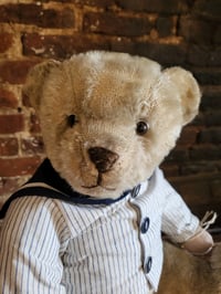 Image 2 of Beautiful German Bear 36cm