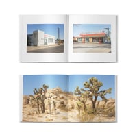 Image 2 of Wilting in the Light Book