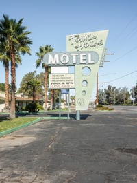 Image 3 of Wilting in the Light Book