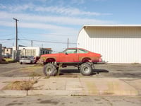 Image 5 of Wilting in the Light Book