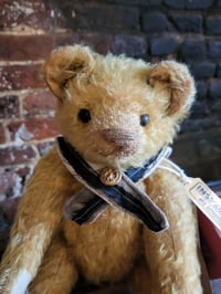 Image 3 of Deborah Beardsley Artist bear 26cm "Graham"