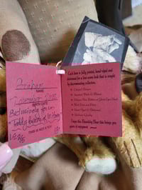 Image 5 of Deborah Beardsley Artist bear 26cm "Graham"