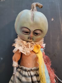 Image 4 of Jojo the #greenpumpkin 