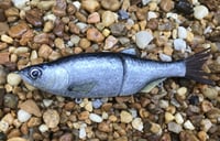 Image 4 of SPEEDBAITS Custom Airbrushed Glide Bait 2817