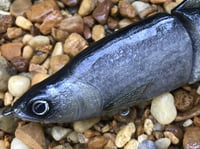 Image 3 of SPEEDBAITS Custom Airbrushed Glide Bait 2817