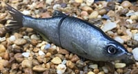 Image 6 of SPEEDBAITS Custom Airbrushed Glide Bait 2817