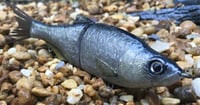 Image 5 of SPEEDBAITS Custom Airbrushed Glide Bait 2817