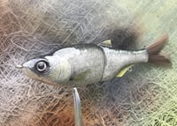 Image 10 of SPEEDBAITS Custom Airbrushed Glide Bait 2817