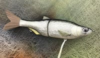Image 12 of SPEEDBAITS Custom Airbrushed Glide Bait 2817