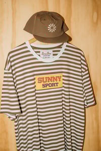 The Sunny Sport Brown Stripe 