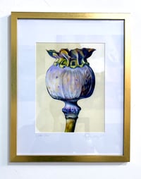 Image 2 of 'Poppy Pod' Art Print