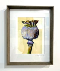 Image 1 of 'Poppy Pod' Art Print