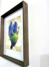 Image 2 of "Agapanthus" Art Print