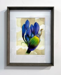Image 1 of "Agapanthus" Art Print