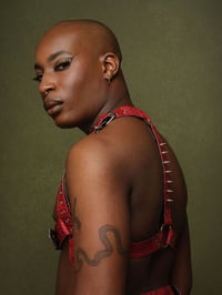 Image 5 of Unisex Center Spike Harness