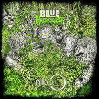 BLUE HOLOCAUST / HOUKAGO GRIND TIME- SPLIT 7" 