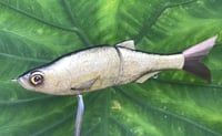 Image 6 of SPEEDBAITS Custom Airbrushed Glide Bait 6696
