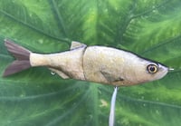 Image 7 of SPEEDBAITS Custom Airbrushed Glide Bait 6696