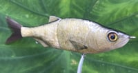 Image 8 of SPEEDBAITS Custom Airbrushed Glide Bait 6696