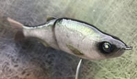 Image 3 of  SPEEDBAITS Custom Airbrushed Glide Bait 6813