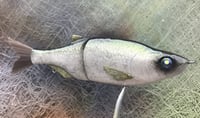 Image 4 of  SPEEDBAITS Custom Airbrushed Glide Bait 6813