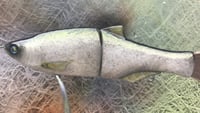 Image 6 of  SPEEDBAITS Custom Airbrushed Glide Bait 6813