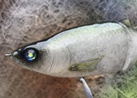 Image 8 of  SPEEDBAITS Custom Airbrushed Glide Bait 6813