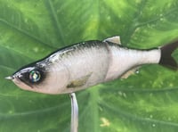 Image 9 of  SPEEDBAITS Custom Airbrushed Glide Bait 6813