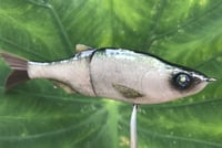 Image 10 of  SPEEDBAITS Custom Airbrushed Glide Bait 6813