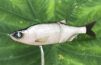 Image 12 of  SPEEDBAITS Custom Airbrushed Glide Bait 6813