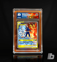 "Shoto's Glaceon & Flareon"