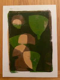 Image 1 of Botanicals 2