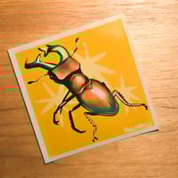 Beetle mini print