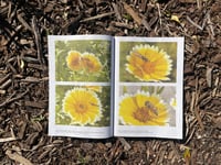 Image 3 of Issue No. 1