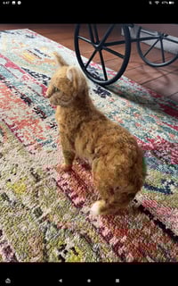 Image 1 of 6" $95 or 8" $125 Custom cat 