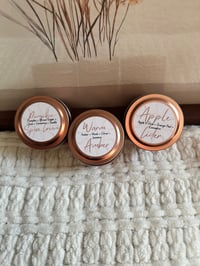 Image 1 of FALL Sampler