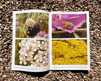 Image 5 of Issue No. 2